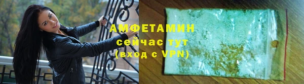 стаф Алзамай