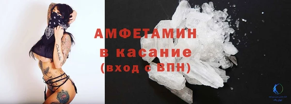 стаф Алзамай