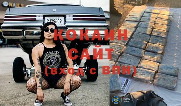 дмт Алексин