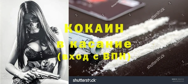стаф Алзамай