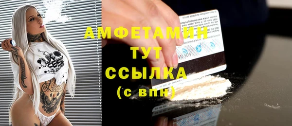 дмт Алексин