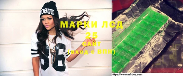 стаф Алзамай