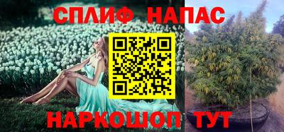 эйфоретик Краснодар