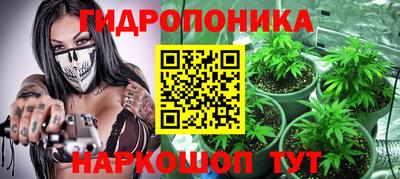 стафф Краснокаменск