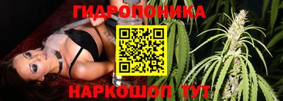 эйфоретик Краснодар