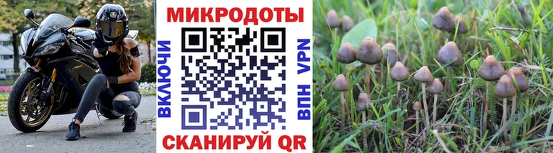 Галлюциногенные грибы Psilocybine cubensis  МЕГА как зайти  Санкт-Петербург  дарнет шоп 