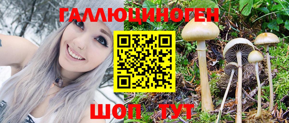 где продают   Вход с VPN  Санкт-Петербург  Галлюциногенные грибы Magic Shrooms 