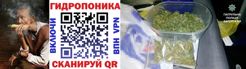 Бошки марихуана тримм  Санкт-Петербург 